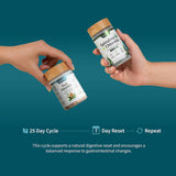 Gut Glow Bundle - Gut Health + Spirulina & Chlorella